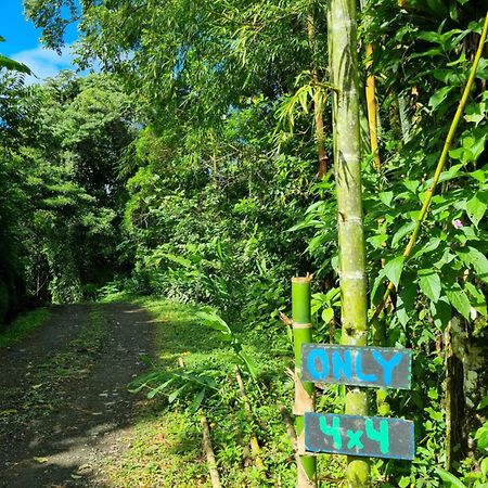 Vulkan Arenal Amazing View Lodge 4 Wd El Castillo المظهر الخارجي الصورة