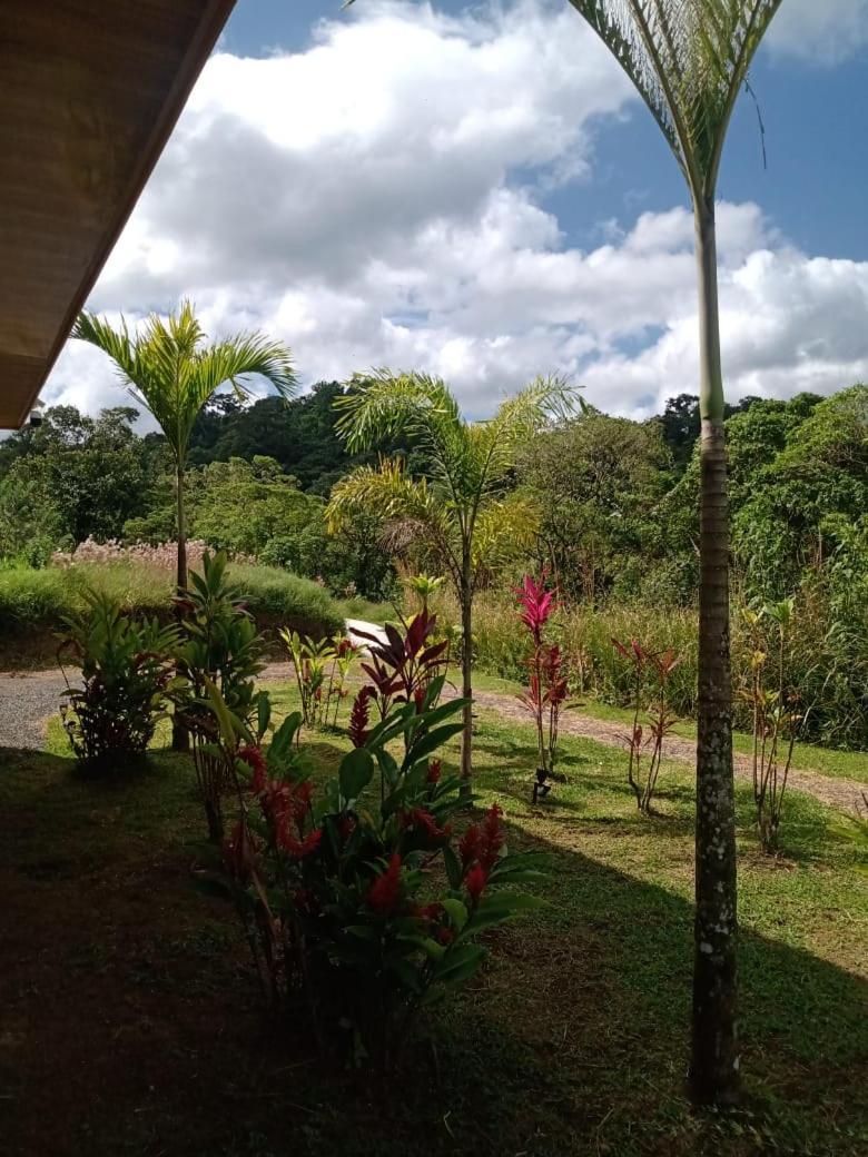 Vulkan Arenal Amazing View Lodge 4 Wd El Castillo المظهر الخارجي الصورة